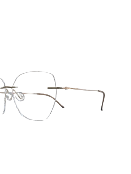 Eyewear Amidst Rimless Classics